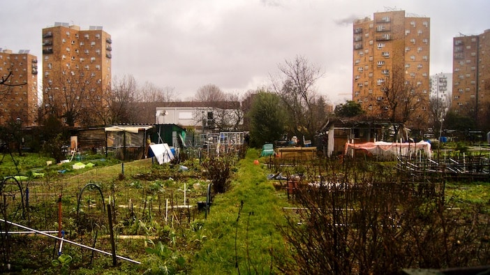 Expulsion des Jardins d’Aubervilliers