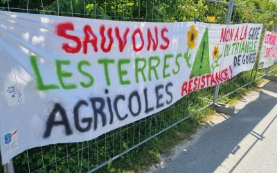 gonesse