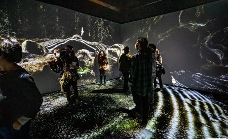 692998-photos-odyssee-sensorielle-l-expo-immersive-au-museum